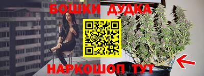 дживик Аргун