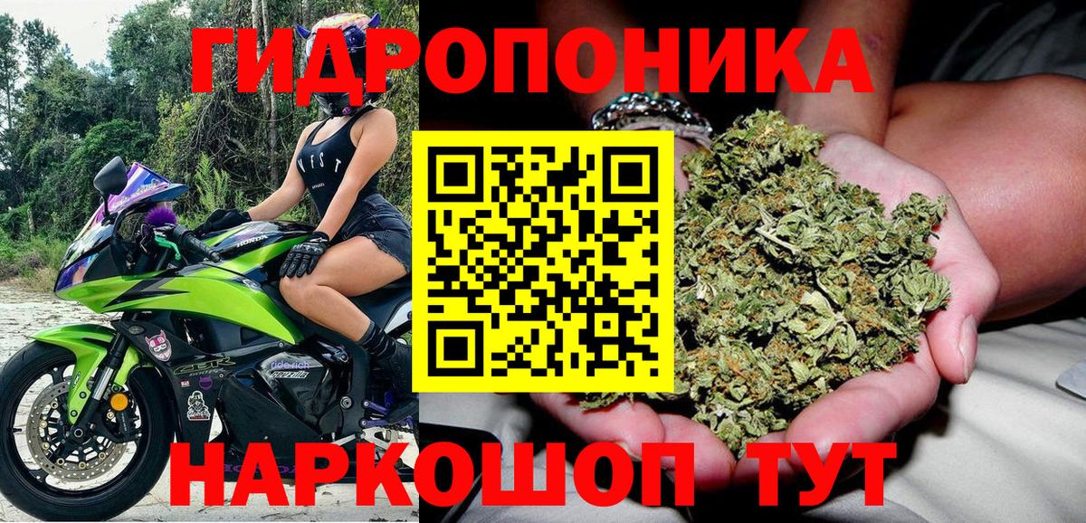 Каннабис ГИДРОПОН Вышний Волочёк